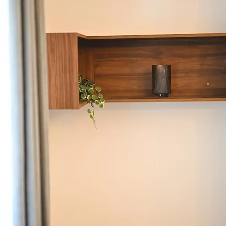Tasa 兹拉蒂博尔
