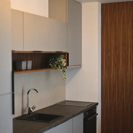 Apartment Tasa Zlatibor